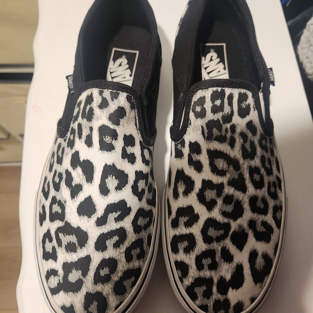 Vans Leopard Print Slip-On Shoes